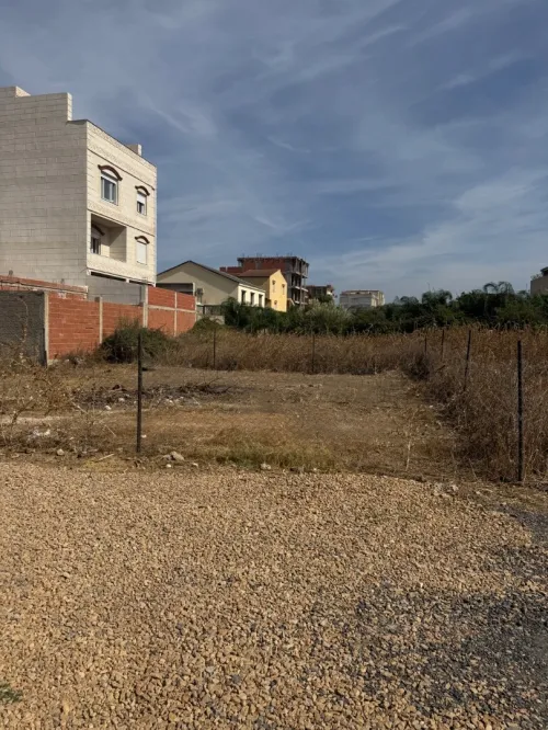 Vente Terrain Alger Ouled chebel