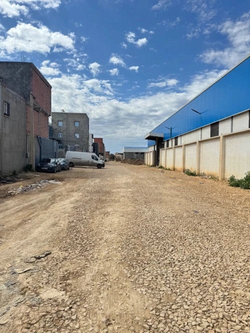 Vente Terrain Alger Ouled chebel