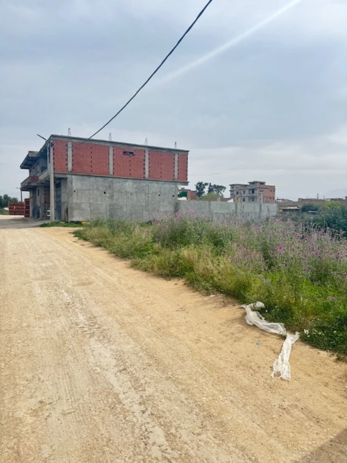 Vente Terrain Alger Ouled chebel