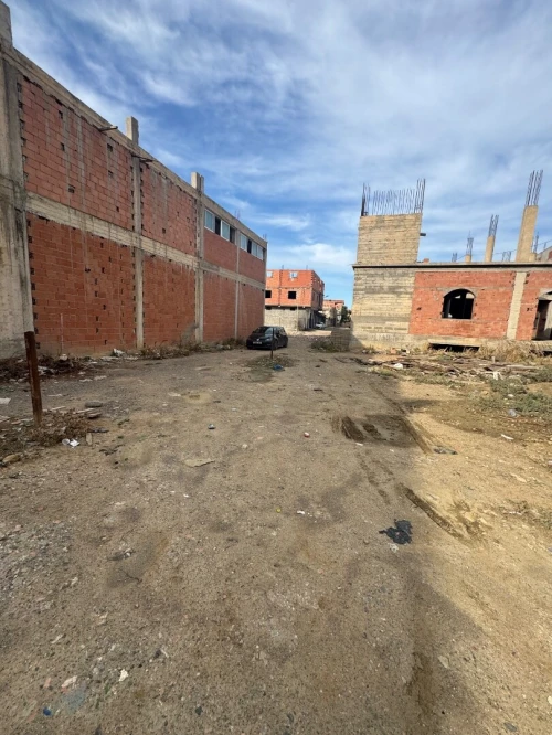 Vente Terrain Blida Ben khellil