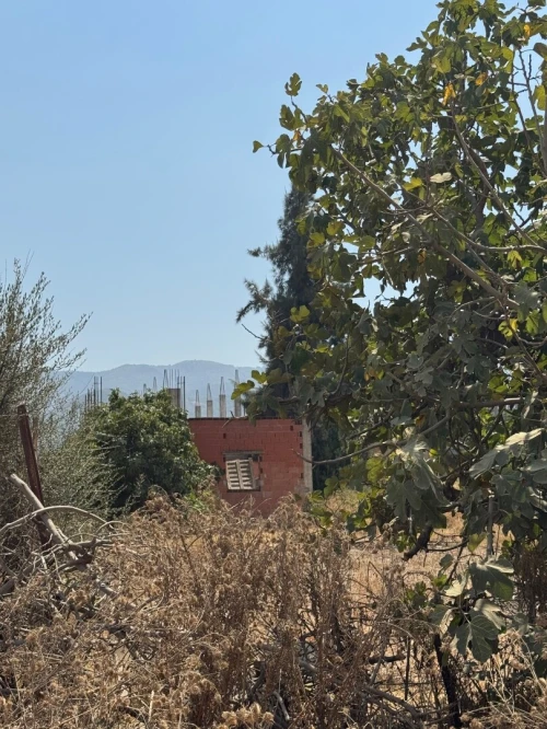 Vente Terrain Blida Bouinan