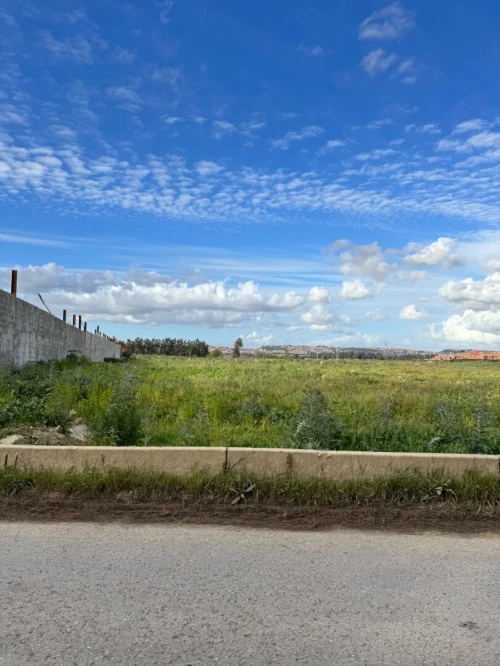 Vente Terrain Alger Tessala el merdja