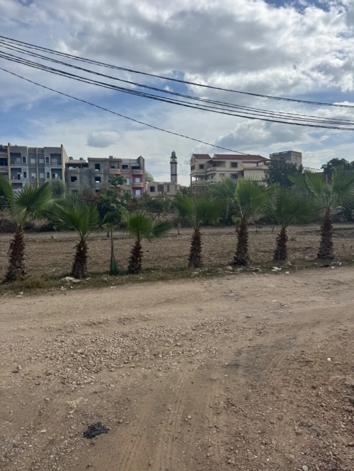 Vente Terrain Alger Ouled chebel