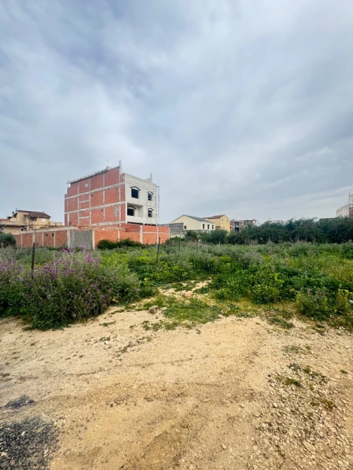 Vente Terrain Alger Ouled chebel