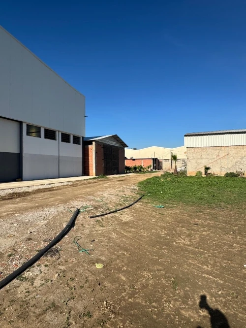 Location Hangar - Usine Alger Ouled chebel