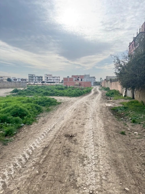 Vente Terrain Alger Ouled chebel