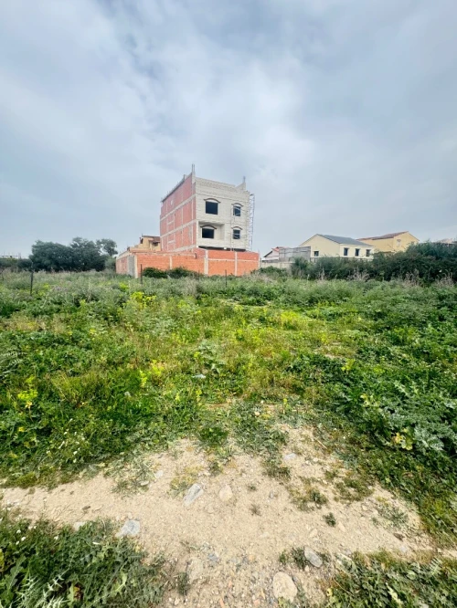 Vente Terrain Alger Ouled chebel