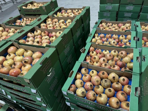 Trie calibrage surgélation et séchage de fruit et légumes