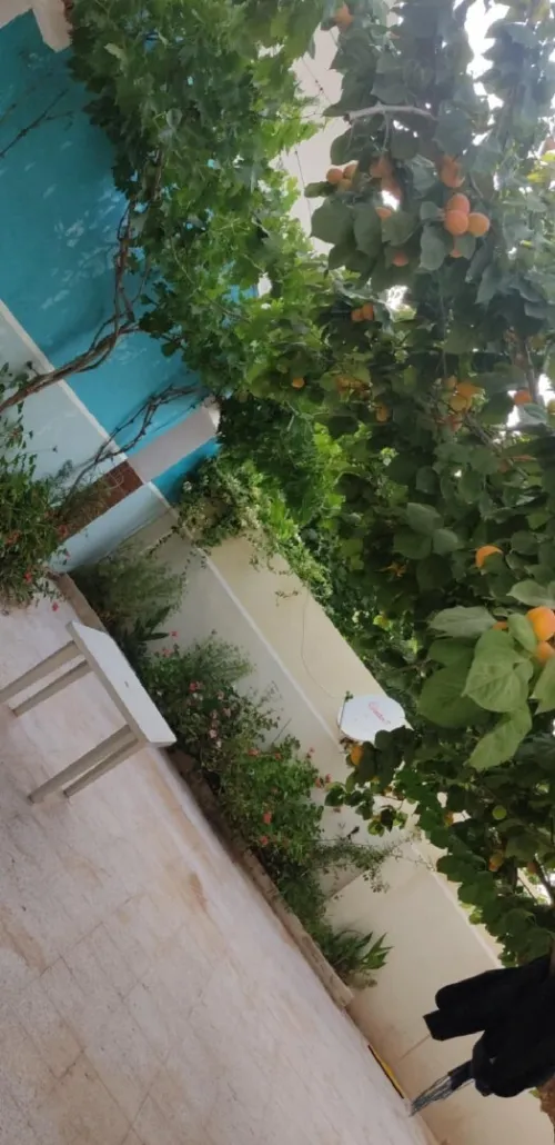 Location vacances Appartement F2 Mostaganem Sidi lakhdaara