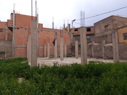 Vente Terrain Tlemcen Ouled mimoun