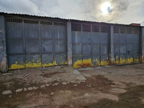 Location Hangar Tipaza Bou ismail