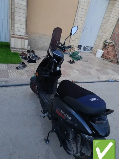 Vms Cuxi 2 2024