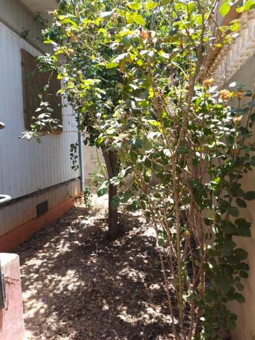 Vente Villa Oran Ain el bia