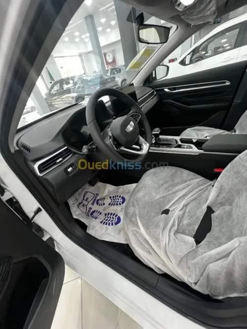 Geely Emgrand 2025 Tout option