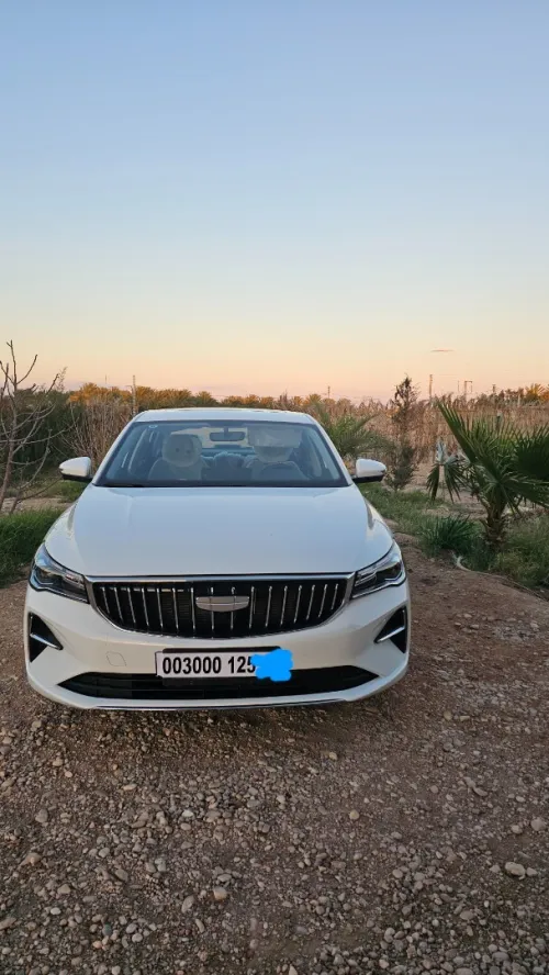 Geely Emgrand 2025 Tout option