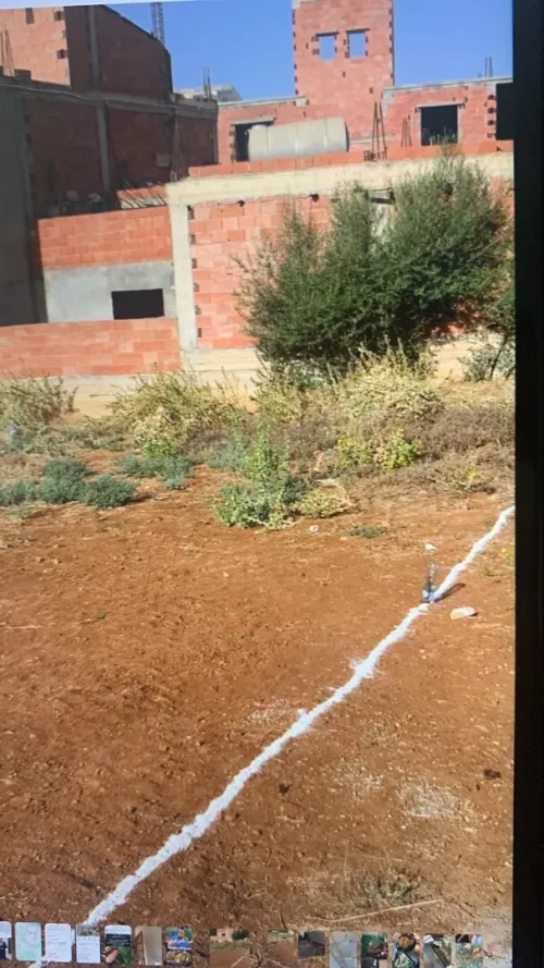 Vente Terrain Boumerdès Ouled moussa