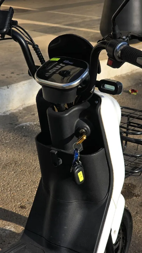 dora blue pro 2026