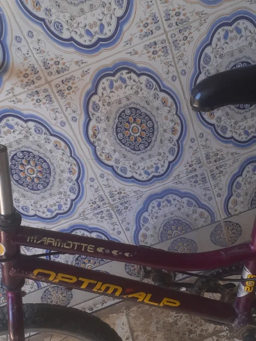 Velo 20 pouce français