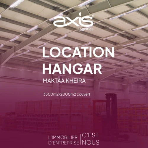 Location Hangar - Usine Tipaza Kolea