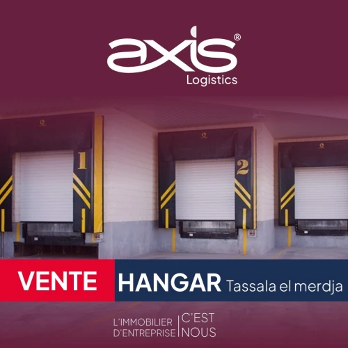 Vente Hangar - Usine Alger Tessala el merdja
