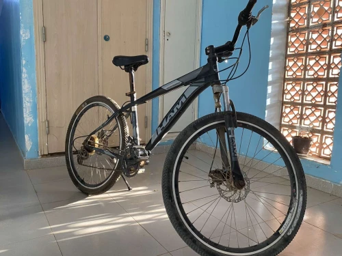 Vélo  HAM