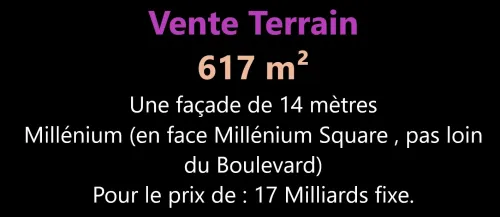Vente Terrain Oran Bir el djir