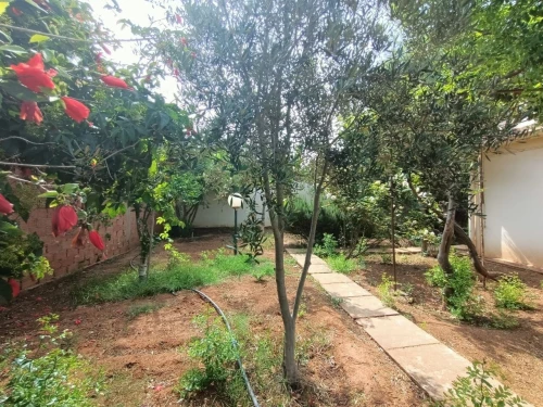 Location Villa Oran Bethioua