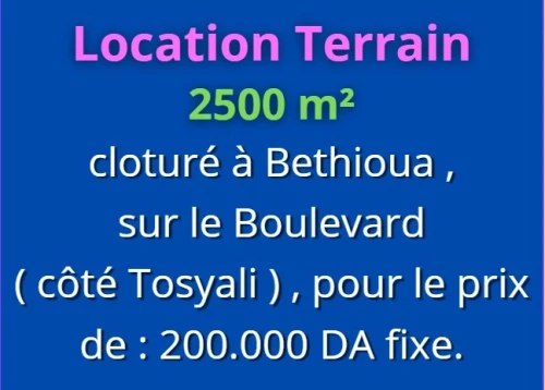 Location Terrain Oran Bethioua