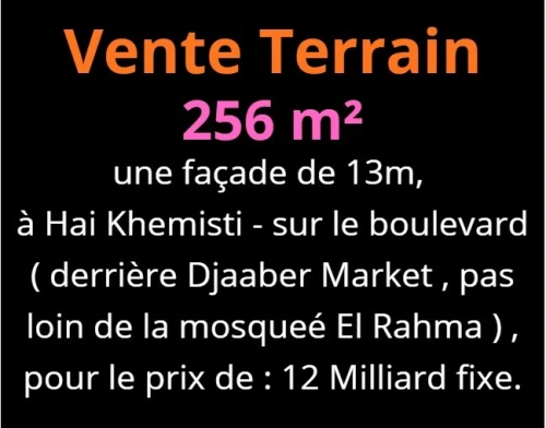 Vente Terrain Oran Bir el djir