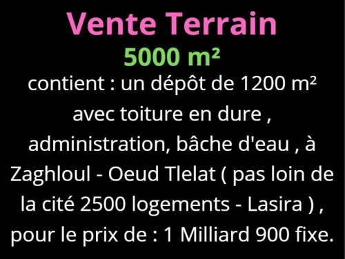Vente Terrain Oran Oued tlelat