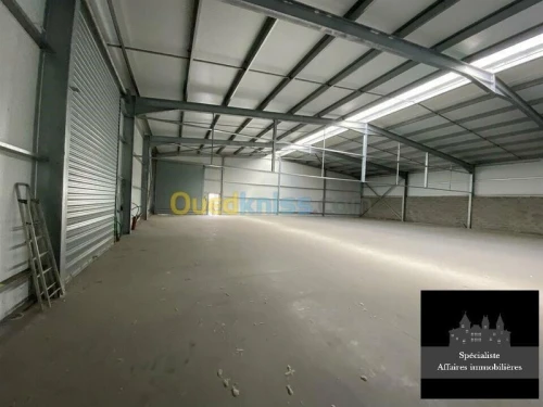 Vente Hangar Oran Oued tlelat