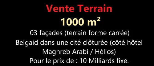 Vente Terrain Oran Bir el djir