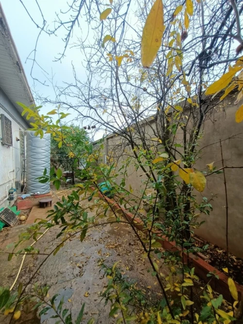 Vente Villa Oran Bethioua