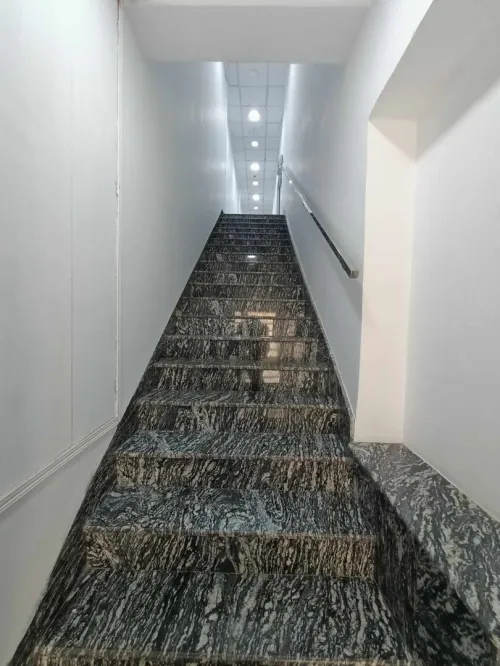 Location Appartement Oran Oran