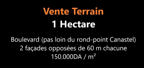 Vente Terrain Oran Bir el djir