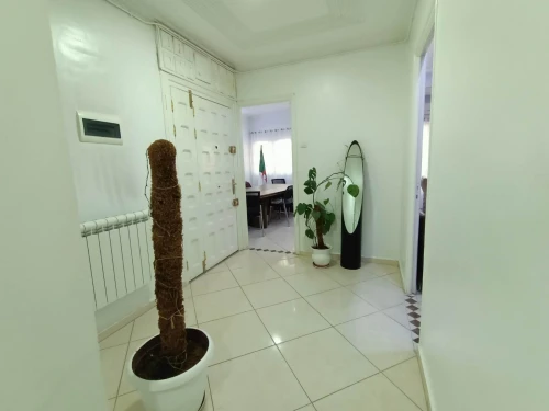 Location Appartement F3 Oran Oran