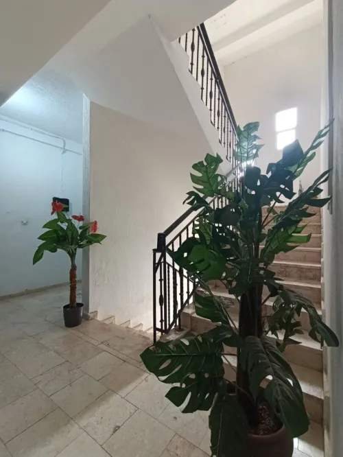 Vente Appartement F3 Oran Bir el djir