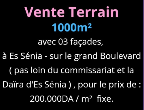 Vente Terrain Oran Es senia
