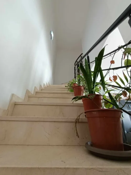 Vente Appartement F4 Oran Oran