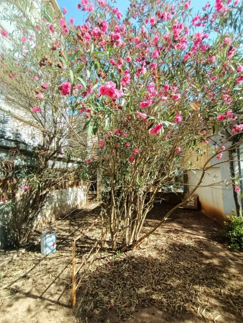 Vente Villa Oran Bir el djir
