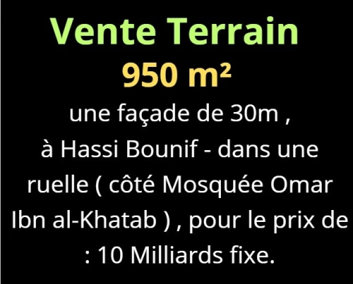 Vente Terrain Oran Hassi bounif
