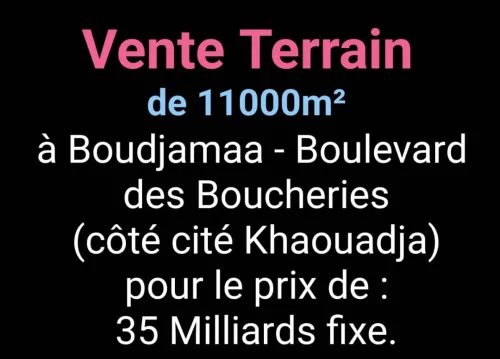 Vente Terrain Oran Bir el djir