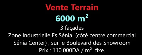 Vente Terrain Oran Es senia