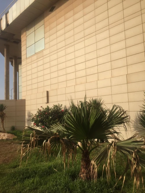 Vente Appartement F2 Oran Oran