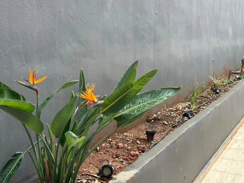 Vente Villa Oran Bir el djir