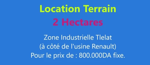 Location Terrain Oran Oued tlelat