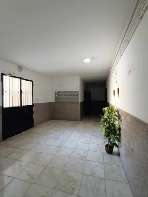 Vente Appartement F3 Oran Oran