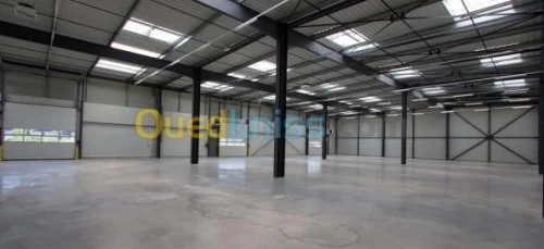 Vente Hangar Oran Oued tlelat