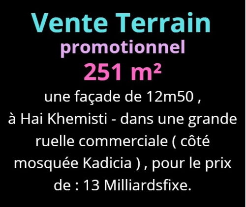 Vente Terrain Oran Bir el djir