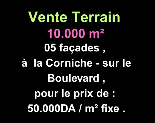 Vente Terrain Oran Ain el turck